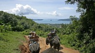 elephant-trekking-2