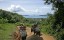 elephant-trekking-2