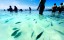 khai-island-half-day6