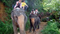 khaolak2