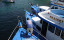 private-fishing-charter-3